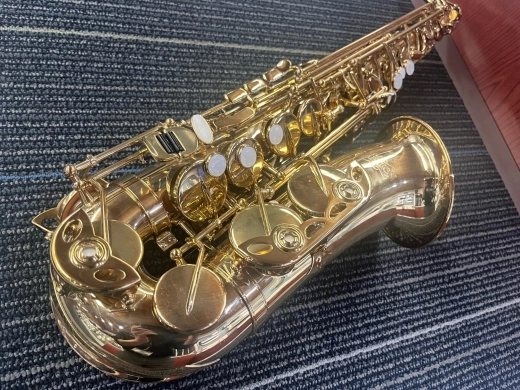 Carlton Student Alto Sax 2